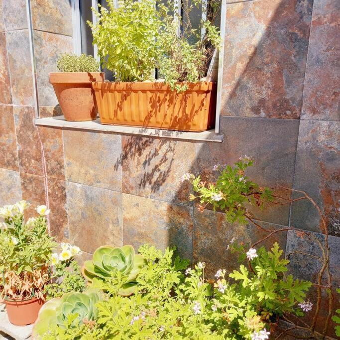 Rias Bajas Apartamento Con Jardin Apartment บียานูเอบา เด อาโรซา ภายนอก รูปภาพ